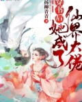 穿书后她成了仙界大佬