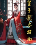 [清穿+红楼]皇子宠妻指南