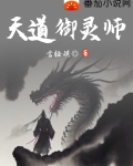 天道御灵师百度百科