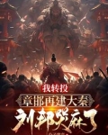 被刘邦驱赶后,我重建大秦小说