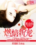 黑帝的燃情新宠