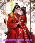 还珠之倾世之恋百度百科