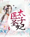 医圣太子妃全文免费阅读小说