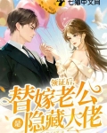 领证后,替嫁老公是隐藏大佬