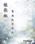 综影视重生文