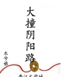 大撞阴阳路