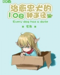 治愈忠犬的108种途径