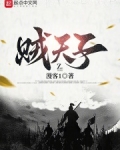 贼天子无弹窗