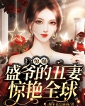 盛爷的小娇妻又在兴风作浪了