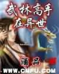 武林高手穿越异世