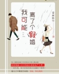 我可能离了个假婚苏杭莫途